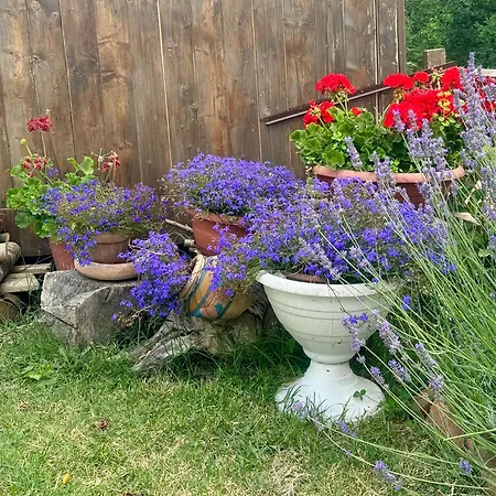 Apartman Villino Il Gelsomino - Relax E Natura Rieti