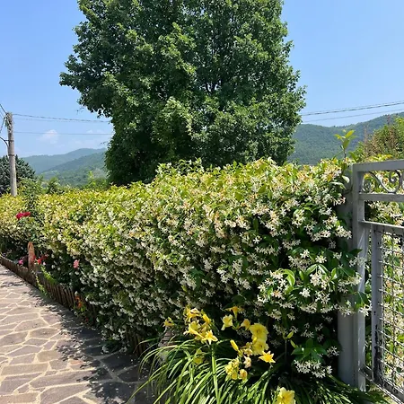 Villino Il Gelsomino - Relax E Natura Apartman Rieti